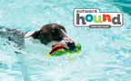 Floatiez Turtle