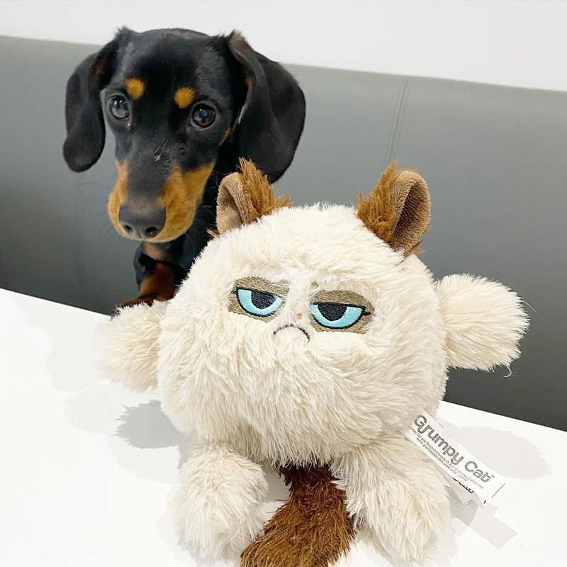 Grumpy Cat Head Toy