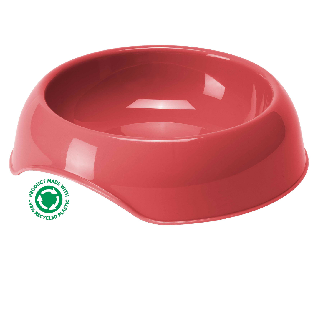 Gusto Bowls for dogs and pet-parent routines