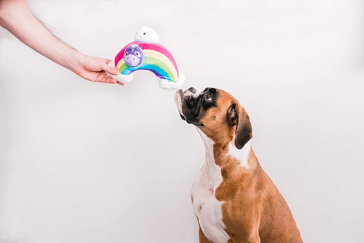Hide a Rainbow