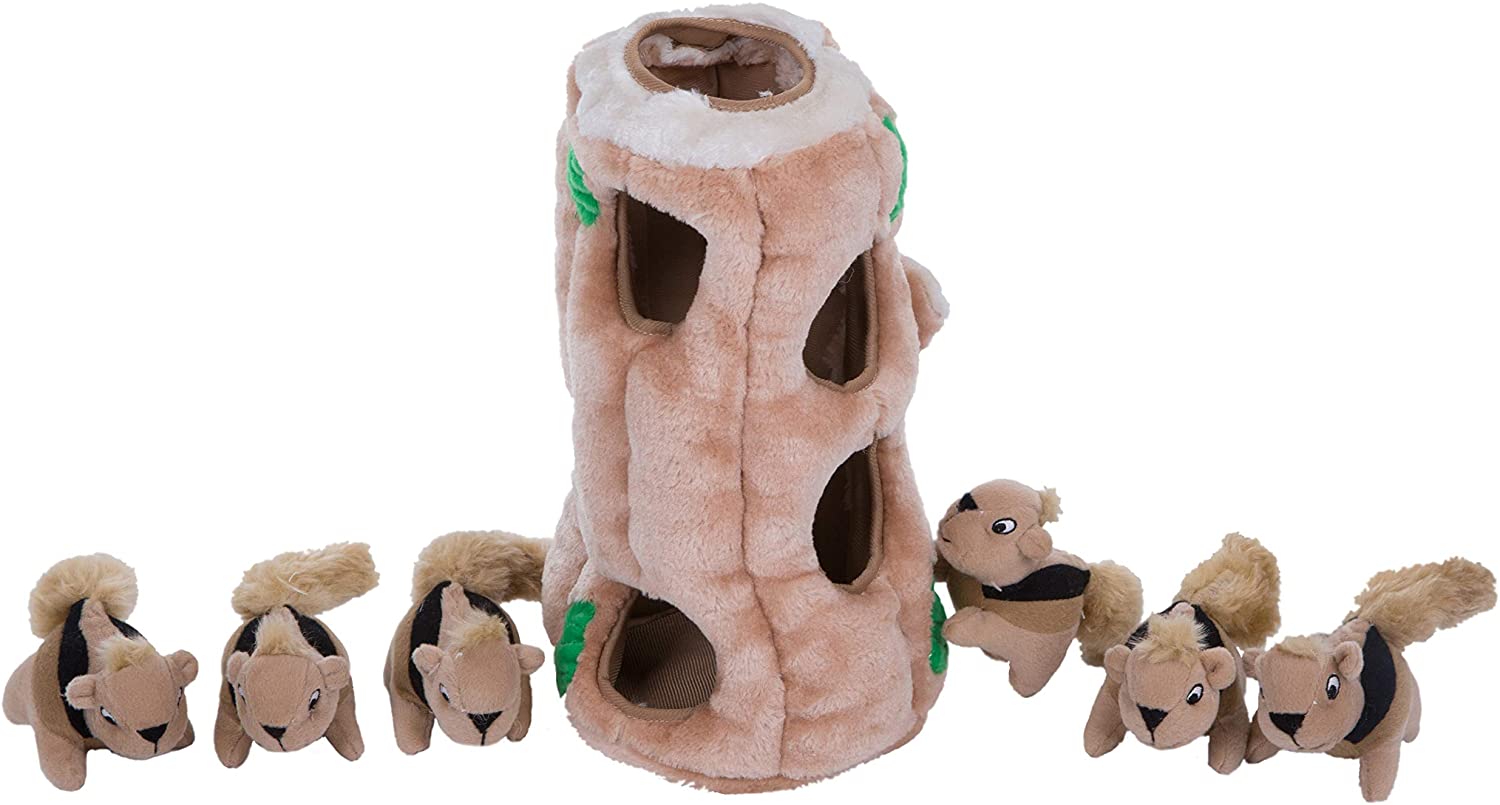 Hide-A-Squirrel for dogs and pet-parent routines