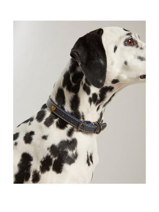 Dog Walking Kit - Blue