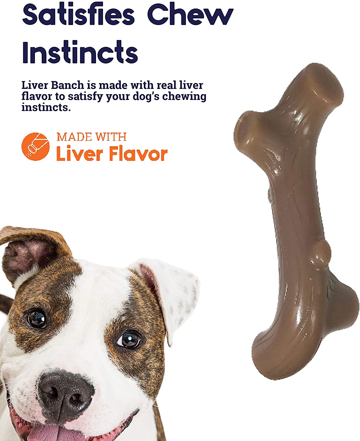 Liver Branch