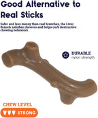 Liver Branch