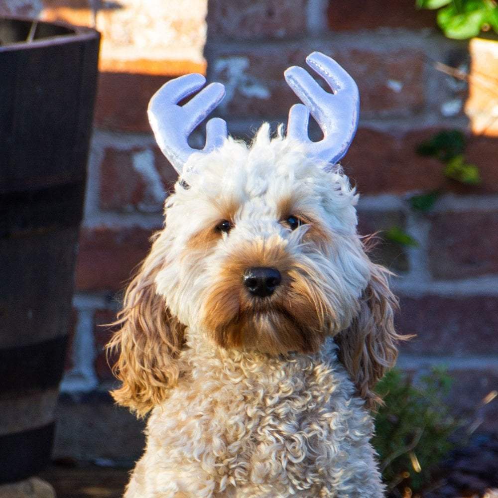 Metallic Antlers