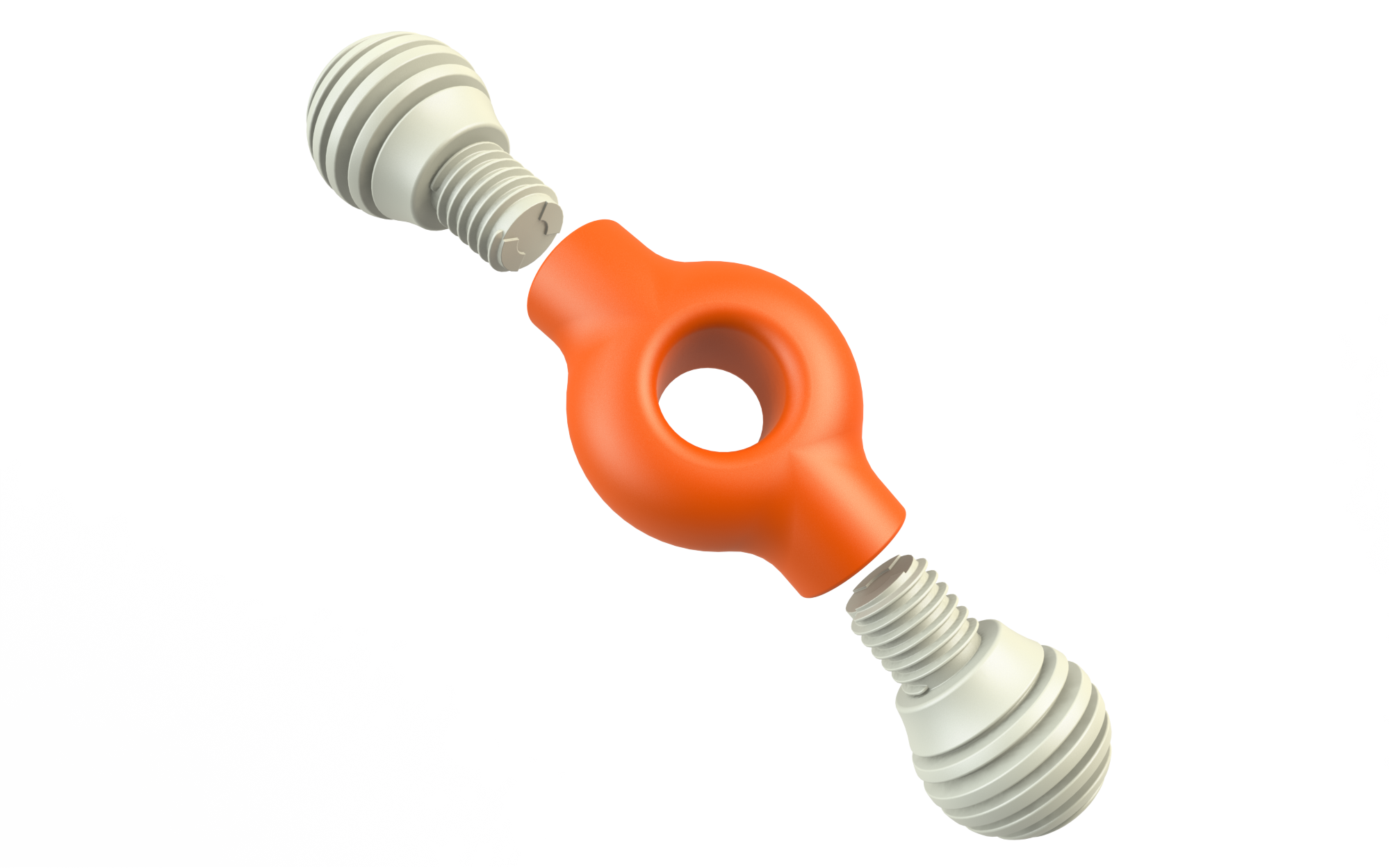 L'Chic Mod Bonz X2 for dogs and pet-parent routines