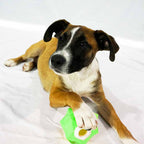 Pawz to Clawz Monster Treat Release Toy
