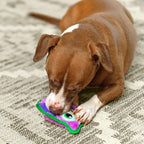 Outward Hound Durablez Mini Owl