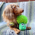 OWH137_Outward Hound_Surprise Veggie Pals Ast