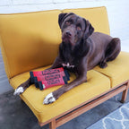 OWH13_Outward Hound_Fire Biterz_Firehose Squeak-N-Fetch