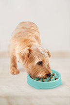 OWH147_Outward Hound Fun Feeder Tiny