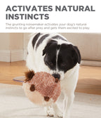 OWH190_Outward Hound_Jumbros Guinea Pig