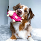 OWH196_Outward Hound_Tootiez Sheep