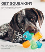 Outward Hound Triple Jack
