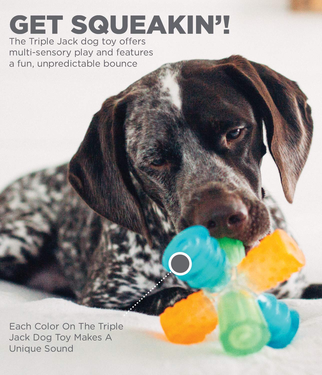 Outward Hound Triple Jack