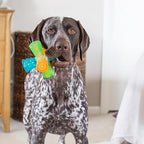 Outward Hound Triple Jack