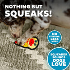 Outward Hound Durablez Mini Duck