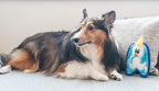 OWH68_Outward Hound_Invincibles Mini Penguin
