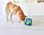 OWH73_Outward Hound_Puzzle Cube