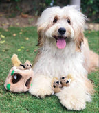 Outward Hound_Hide-A-Squirrel