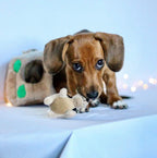 OWH142_Outward Hound_Hide-A-Squirrel