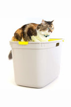 PLA074_Moderna_Top Cat Toilet