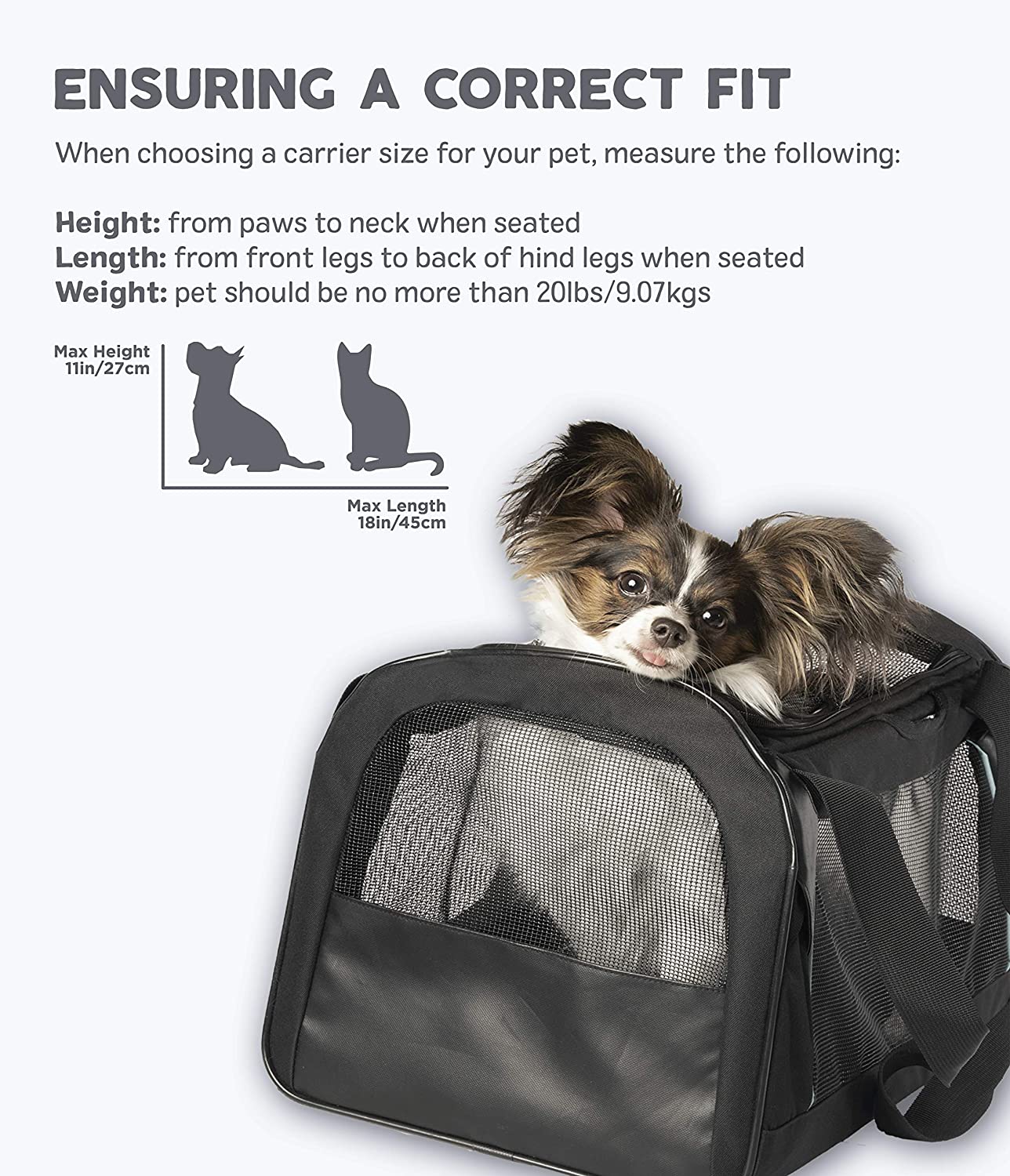 Pet Tour Travel Carrier