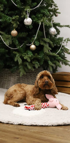 Pig in Blanket Toy