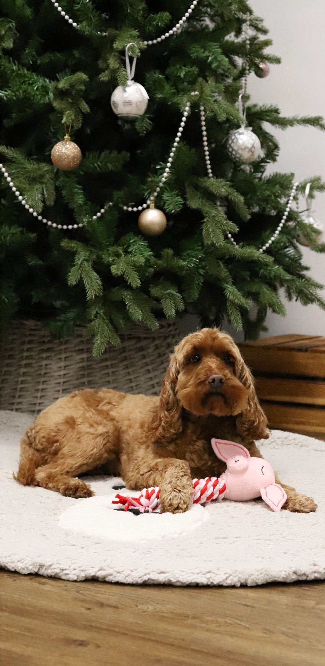 Pig in Blanket Toy