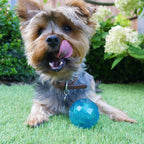 RWD05_Rosewood_BioSafe Puppy Treat Ball
