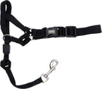 RWD165_Rosewood_Coastal Head Halter
