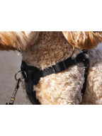 RWD168_Rosewood_Coastal Front-Connect Padded Harness