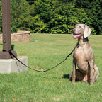 Multi-Function Nylon Dog Lead for dogs and pet-parent routines