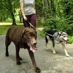 RWD171_Rosewood_Multi-Function Nylon Dog Lead