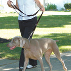 RWD171_Rosewood_Multi-Function Nylon Dog Lead