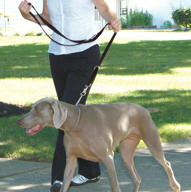 RWD171_Rosewood_Multi-Function Nylon Dog Lead