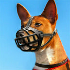 RWD172_Rosewood_Soft Basket Muzzle