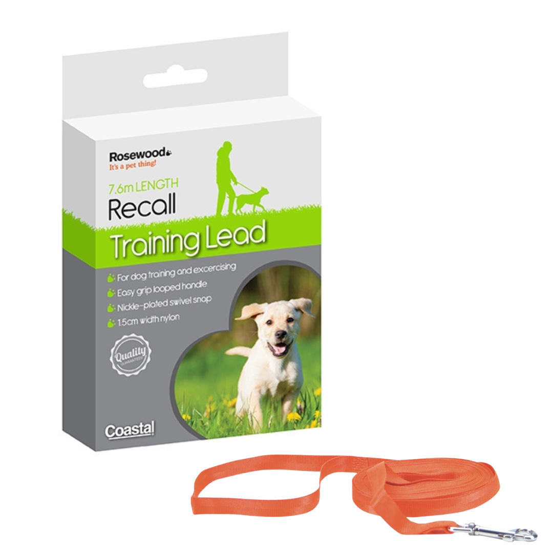 Rosewood Recall Training Lead for dogs and pet-parent routines