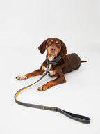 RWD193_Rosewood_Joules Navy Leather Dog Lead