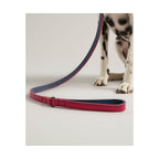 RWD198_Rosewood_Joules Pink Leather Dog Lead