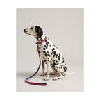 RWD198_Rosewood_Joules Pink Leather Dog Lead