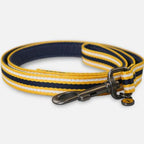 Rosewood Joules Navy Coastal Lead for dogs and pet-parent routines
