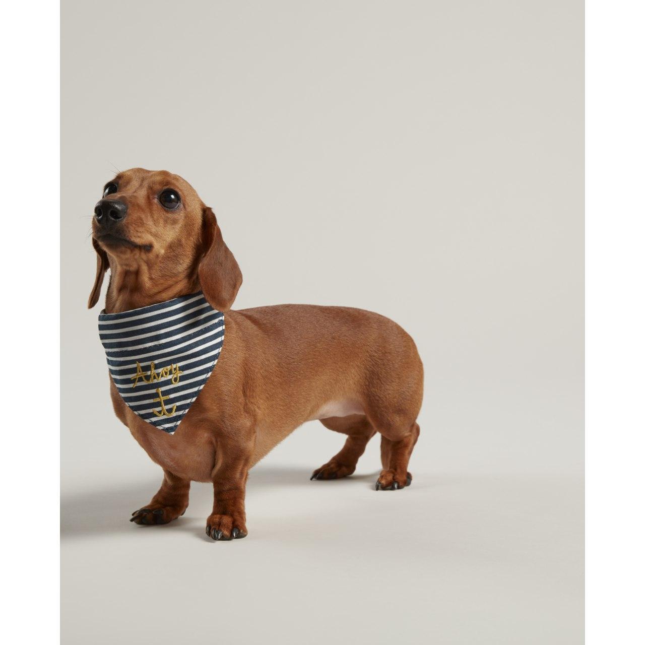 Rosewood Joules Nautical Collar and Neckerchief for dogs and pet-parent routines