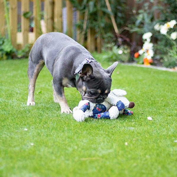 RWD24_Rosewood_Chubleez Maisie Mouse