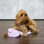 RWD263_Rosewood_Aromadog Calm Fleece Laying Down Dog