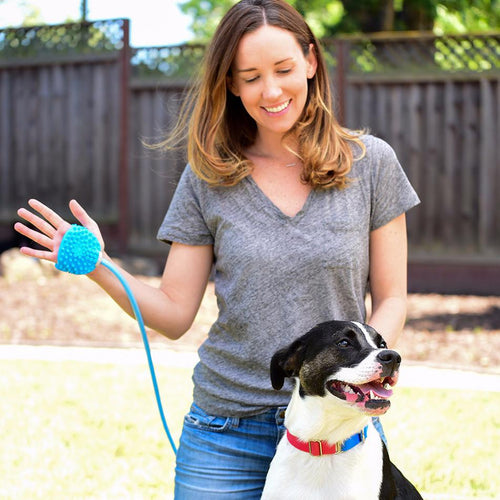 Aquapaw Bathing Tool for dogs and pet-parent routines