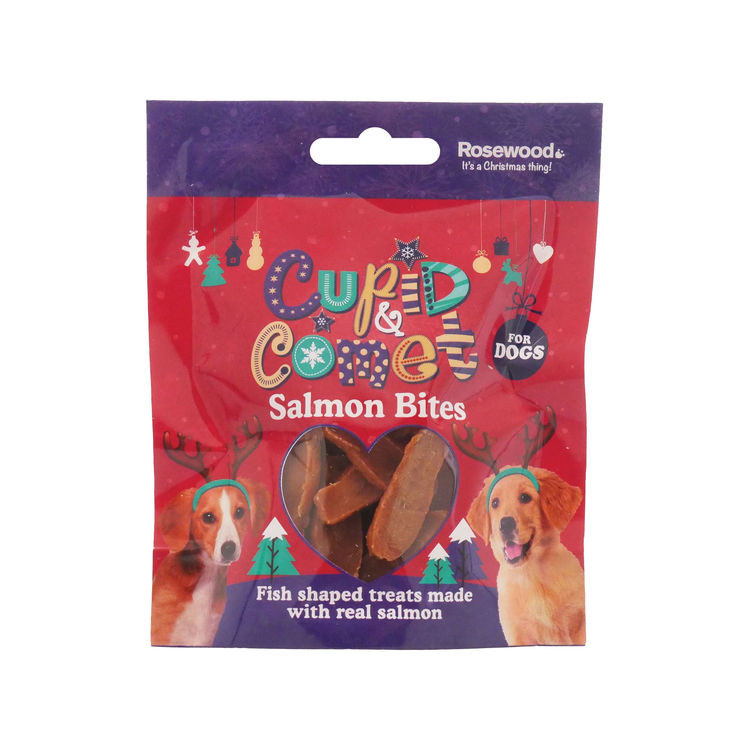 Rosewood Salmon Bites for Dogs 40g for dogs and pet-parent routines