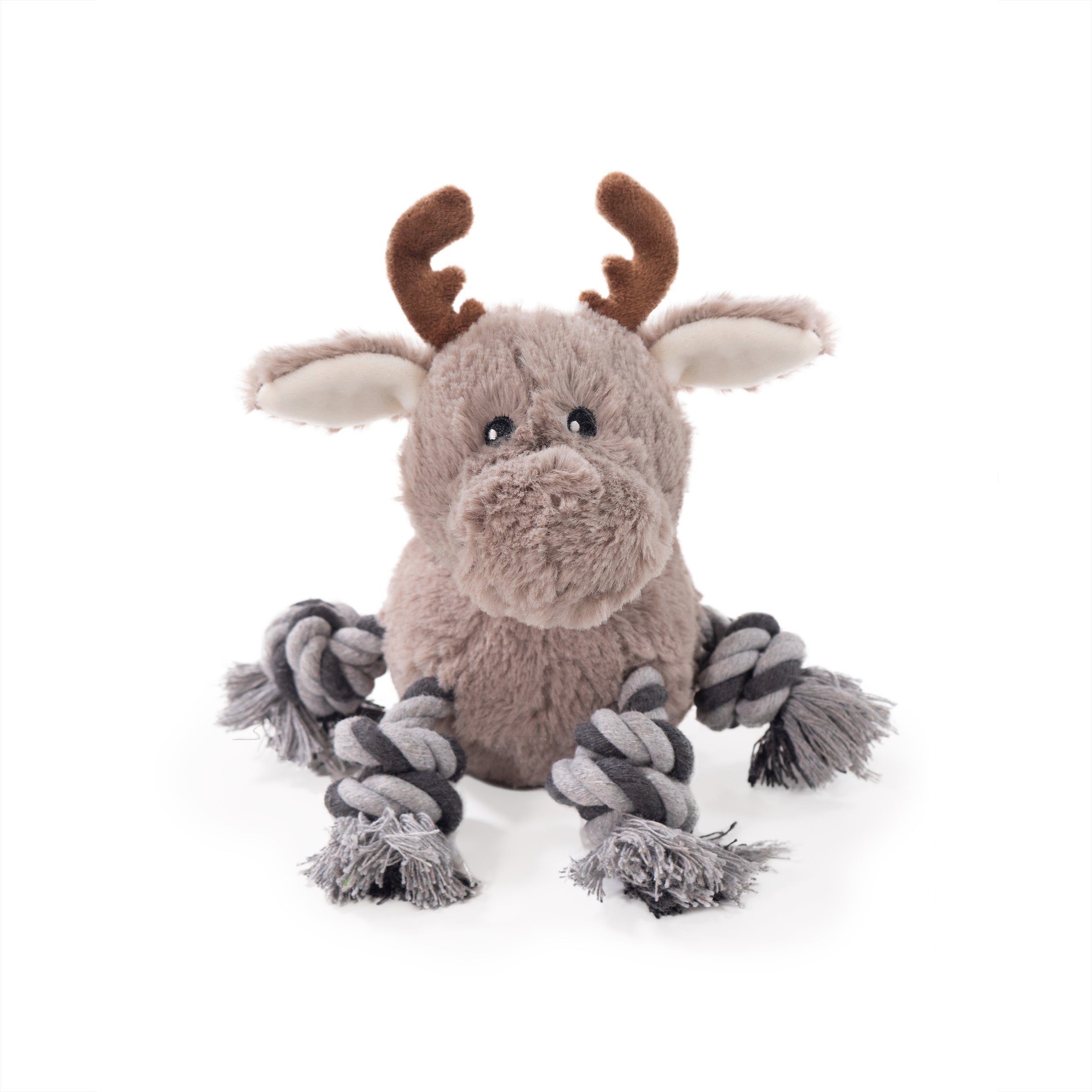 Richie Reindeer for dogs and pet-parent routines