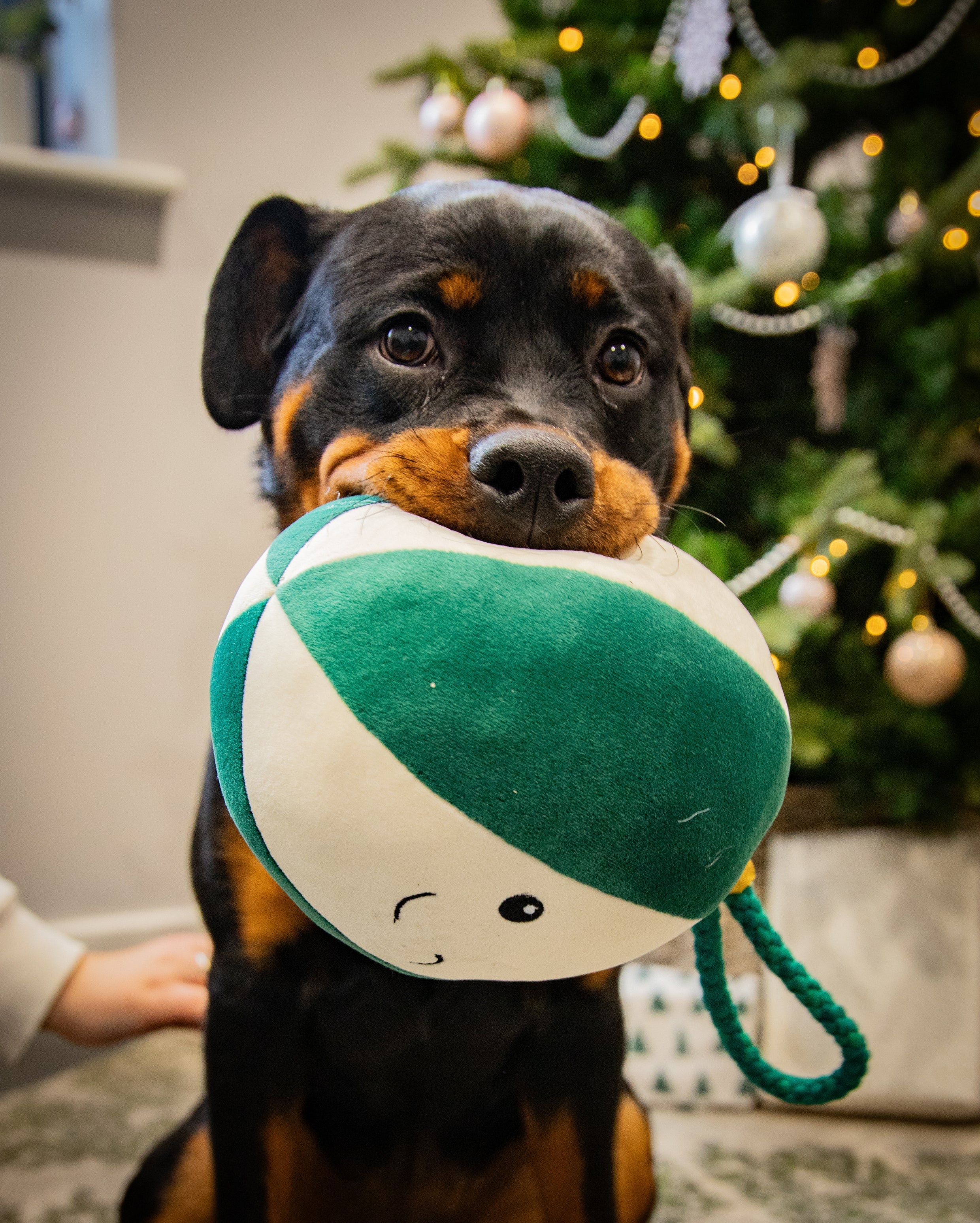 Blitzen Bauble