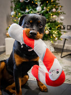Comet Candy Cane